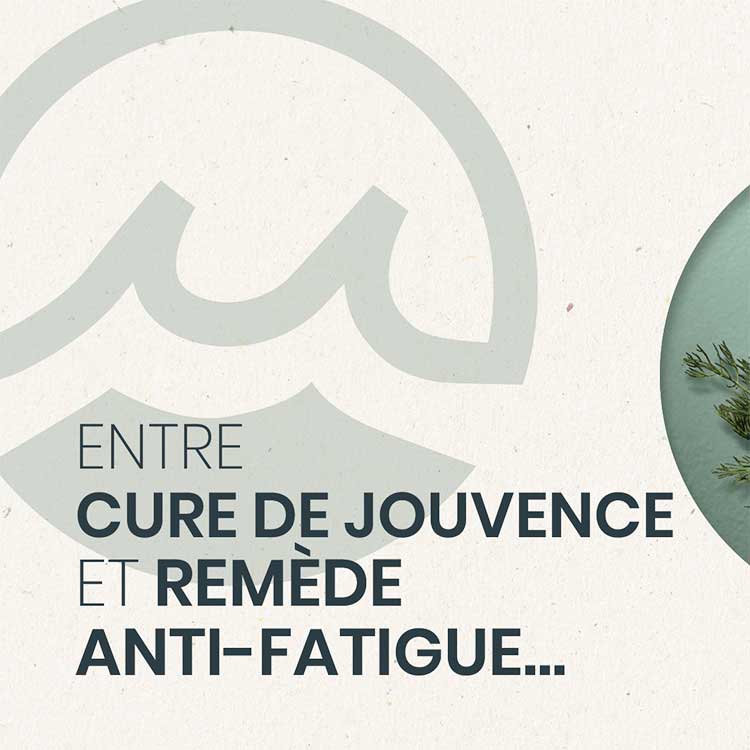 Les huîtres Marennes Oléron partenaires santé | Valeur nutritionnelle