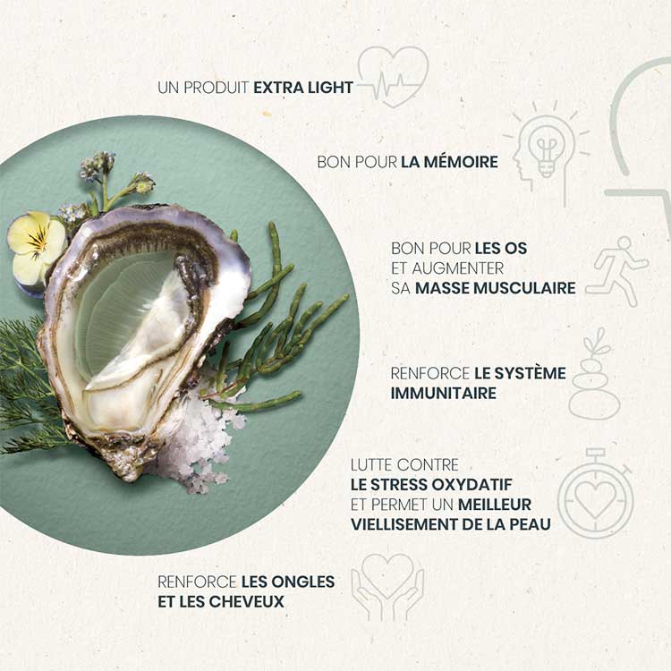 Les huîtres Marennes Oléron partenaires santé | Valeur nutritionnelle