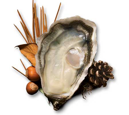 affiche gamme huîtres Marennes Oléron IGP
